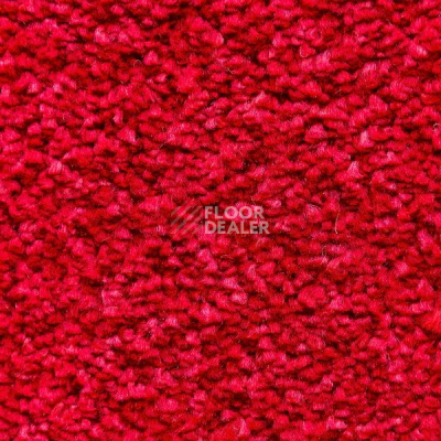 Ковролин AW Masquerade Certosa 10 фото 1 | FLOORDEALER